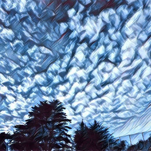 Meet your Posher, Daewon